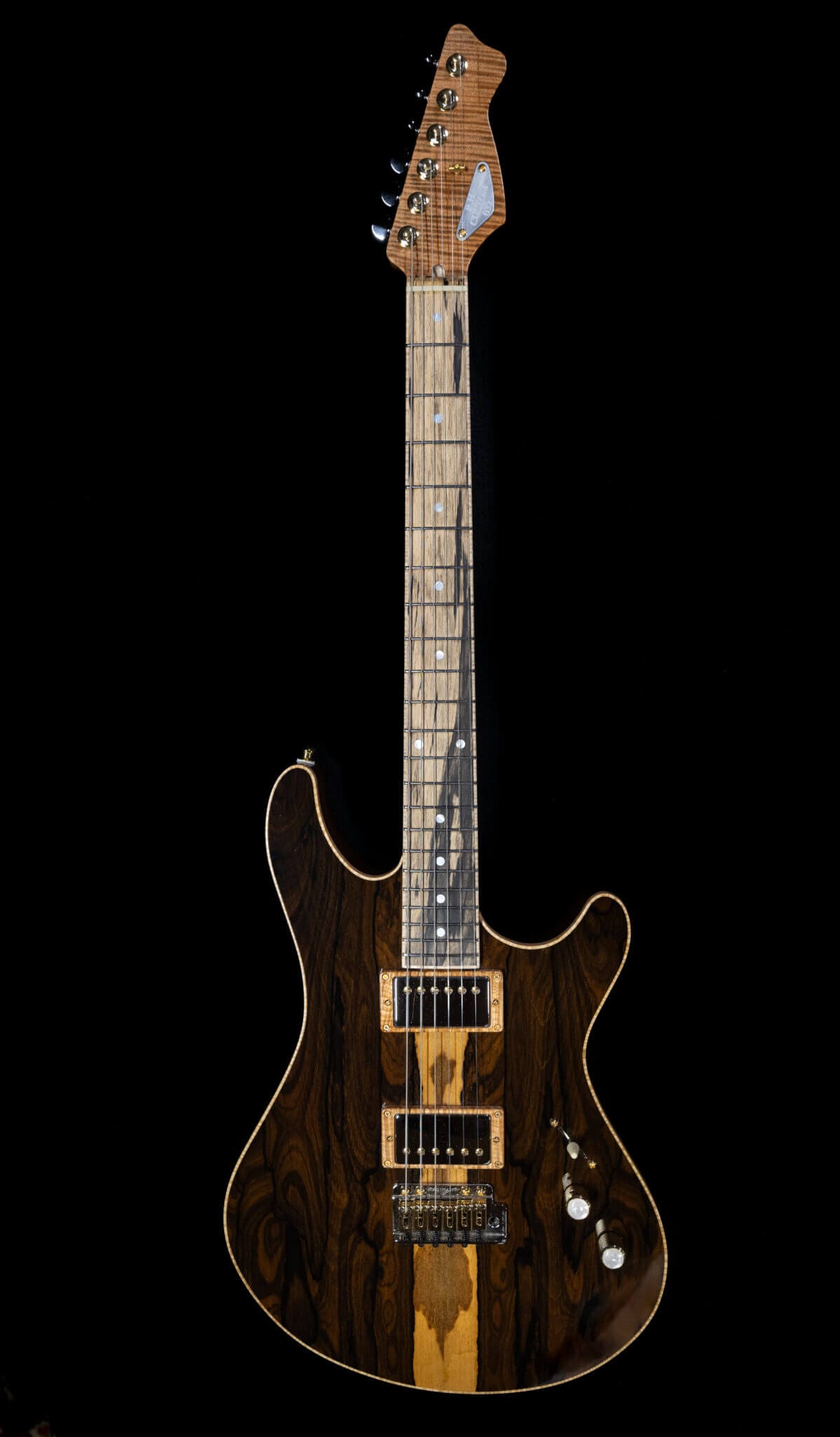 Discover the Dark Side of The Moon Guitar Features